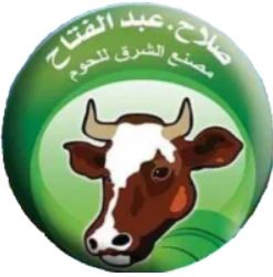 صلاح عبد الفتاح