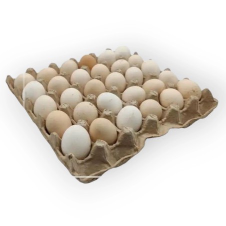 طبق بيض بلدى