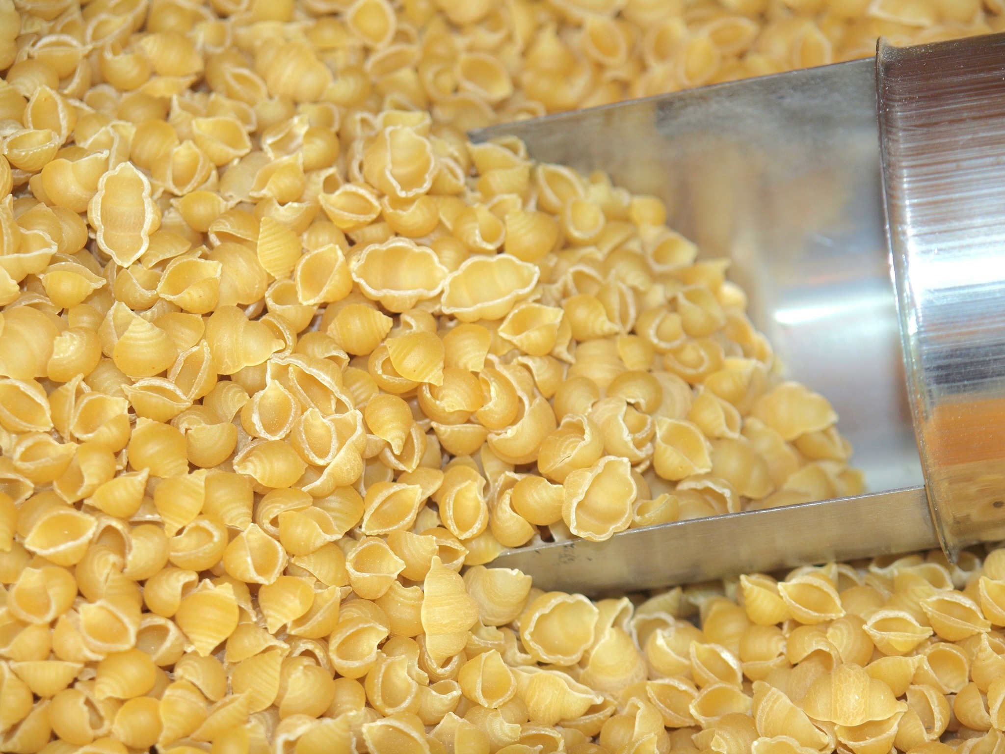 كيس مكرونه قواقع سايبه 500 جرام