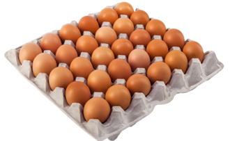 طبق بيض احمر