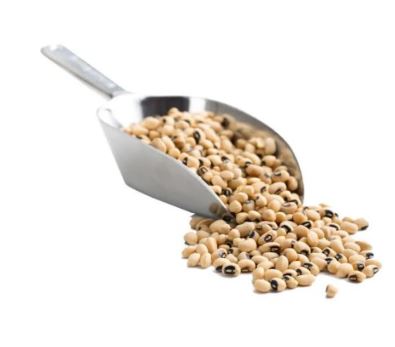 بقوليات سايبه