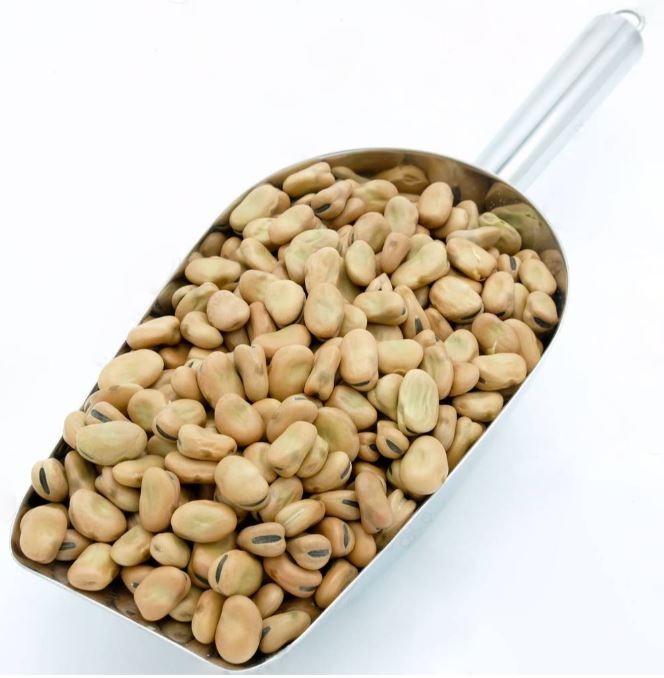 كيس فول حبوب سايب 500 جرام