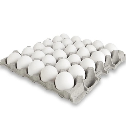 طبق بيض ابيض